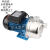 广东凌霄泵BJZ037-B/075/100/150射流不锈钢自吸泵家用自来水增压 BJZ75 220V钢叶/非自动