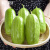 神禾 甜瓜种子大全绿宝石羊角蜜香瓜种籽水果 特大八棱脆甜瓜种子 约60粒/清脆