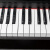 美乐斯（Miles）61键电子琴成人儿童初学演奏电子琴 DP-5200电子琴（支持蓝牙/内录）