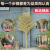 访客  手工环卫大竹扫把3.5斤【5把装】物业环卫小区学校工厂马路柏油道路地面清扫清洁大号竹柄笤帚扫帚