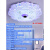 LED吸顶灯现代简约客厅卧室灯大气蓝牙婚房间2021年圆形灯具 花开富贵50cm四色无极 -侧发彩光