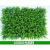 仿真草坪植物墙人造草坪假草皮室内阳台装饰绿植壁挂背景墙绿植墙 40X60米兰草