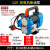 博雷奇220V防爆电动抽油泵自吸式柴油加油泵DYB大流量电动油泵 12V  双电机柴油泵