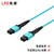 良浦 光纤跳线MPO-MPO母头12芯 多模万兆OM3 40/100G模块用MPO光纤线 1米 MPO-MD12-1M	