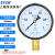 上海仪川仪表 径向负压真空压力表Y100 水压油压气压表 0-1.6MPa Y100 0-1MPa
