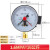 舒沃 远程压力表法兰水表水泵压力阀 变频器自吸泵
