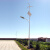 日月升 RYS-FG88-8-60 太阳能风光互补路灯 风力发电路灯  锥杆灯杆 8米 60W（含风机）