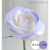 阿诺德（ARNOLD）鲜花喷漆花艺鲜花漆花店专用喷漆自喷漆碎冰蓝彩喷色剂着色手摇喷 斯里兰卡丁香紫