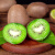 白衣鲜人 希腊进口绿心奇异果90-100g/个10个 进口绿心猕猴桃 