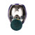 普达防毒面具 MJ-4009全面罩配4号滤毒罐 化工混凝土化肥厂
