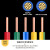 BV国标电线铜芯单股线家装硬线1.5/2.5/4/6/10平方单芯线缆 BV双色4-100米【国标保检测】