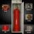 维肯 柜式七氟丙烷气体灭火装置 双柜无管网自动灭火器 双瓶2*150L GQQ150*2/2.5（不含药剂）