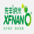 XFNANO 氨基中空介孔二氧化硅溶液（球状）XFF29-4 103851；10ml