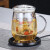 逸集玻璃茶杯茶水分离泡茶杯过滤男女士加厚透明带把花茶杯子办公茶杯 大号420ML单杯