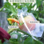 铸固 防鸟防虫纱网  可收缩透光水果蔬菜专用套袋网 保护袋 35x50cm/10个