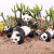 Oenux儿童熊猫玩偶玩具摆件模型仿真野生动物实心大小套装饰工艺件礼物 爬行熊猫