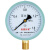 匡建仪表（CONJANT）Y-100压力表径向真空压力表指针式水压表油压表气压表表盘直径100mm 0-1.6MPa 