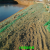 华昊浩康建筑工地防尘网盖土网绿色绿网覆盖网绿化网绿色裸土覆盖网（绿色） 8针加厚 8m*40m