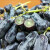 润鲜培澳洲进口金手指葡萄 蓝宝石黑加伦无籽新鲜水果无籽提子 净重 2斤 （泡沫箱+冰袋）