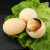 龙城香13天新鲜活珠子熟食毛蛋20枚鸡胚蛋 钢化蛋开袋即食毛鸡蛋 新鲜活珠子20枚