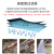 Dolphin-maytronics 海豚全自动泳池吸污机水下吸尘器M200泳池清洗机吸污机进口水龟 3002PRO