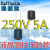 【凯拓达电子】常用电源保险 管250V/5A 5*20 塑封 圆柱保险