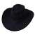 美国西部牛仔帽户外遮阳帽男士骑马帽子大檐牛仔帽出游带防风绳 黑色 M（56-58cm）