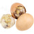 十里馋营养鸡胚蛋活珠子10枚装 13天鸡宝鸡蛋喜蛋熟鲜木