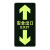 金诗洛 KSL213 PVC夜光地贴 疏散指示牌 消防通道标志牌 反光消防安全标识(双向安全出口C-16)2个
