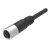 兆龙 屏蔽型PVC护套传感器电缆组件   M12-A-4芯母直头-3米/根-ZL7403A299黑色  支持定制