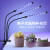 谋福（CNMF）LED植物生长灯植物夹子灯植物补光灯多肉植物灯(单管20LED植物灯)