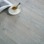 金钢铂林 德国原装进口强化复合地板 家用E0级环保木地板防水耐磨粉白佳人