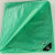 钢米 160克PE塑料篷布 防雨防晒苫布防尘地摊垫子2*3米 双绿 张 1850707