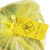  久洁Jojell医疗废物封口扎带吊牌标签标识牌黄色垃圾袋束线带封口标贴警示贴45*85mm100个吊牌