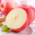 洛川苹果 陕西水果红富士苹果20个80mm约4.75kg苹果水果礼盒 新鲜时令水果 20枚80