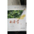 正版全国高等农林院校教材经典系列：制茶学(第3版) 夏涛 中国农业出版社