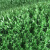 工者 仿真草坪 草皮地毯塑料假草坪 幼儿园楼顶阳台围墙地垫 草高1.5cm军绿背胶加密款2*25米50平