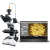 SangNond高倍光学金相显微镜 芯片PCB截面 工业测量金属颗粒组织材料分析 官方标配+测量2K工业相机