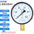 上海仪川仪表 径向负压真空压力表Y100 水压油压气压表 0-1.6MPa Y100 0-100MPa