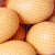 稳斯坦 W7656 (200条)鸡蛋网袋 超市包装蔬菜水果网袋鸡蛋网袋 35CM红色平头节点