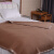 真悦（REALJOY）羊毛毯宾馆酒店专用驼色家用冬季加厚毯子单人双人客房床上 纯羊毛1.5*2米 羊毛毯
