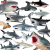灵动创想（LDCX）2024新款巨齿鲨玩具模型 仿真大白鲨海洋动物模型玩具巨齿鲨虎鲨 1913巨齿鲨