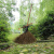 竹扫把 竹扫把农村老式竹丝扫帚笤帚户外庭院环卫通用大扫把扫院子JYH 皮扎竹丝1.4+布扎毛