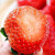 愉果（yuguo）丹东草莓99红颜奶油草莓 新鲜水果礼盒 空运直达 【黑金IMAX】2斤特大单果30g以上