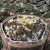 木桶土蜂蜜500g*2 野生纯正天然峰蜜无添加 普通包装（2*500g）