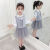 糊图狗（HUTUGOU） 女童连衣裙春款韩版女孩套装裙子中童两件套春秋儿童公主裙 衬衫加裙子 110