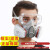 LISM防毒面具全面罩化工甲醛喷漆呼吸防护罩全脸防尘面罩打农 双罐防尘毒7件套+护目镜