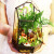 少羽创意DIY迷你苔藓微景观植物办公室桌面盆栽玻璃花房生态瓶 龙猫干杯组装款
