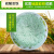 康格雅 铁树肥料硫酸亚铁 防止黄叶 酸性有机肥花肥 25kg颗粒硫酸亚铁