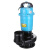 单相电潜水泵1寸2寸3寸4寸220V抽水机井用农用浇灌抽水泵AA 铜线750W 1寸 5米水带